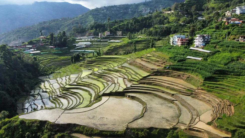 Live as a Rural Farmer in the Terraces of Nepal: An Authentic Experience